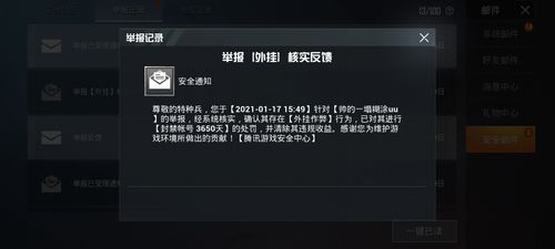 和平精英辅助得类型分为那些